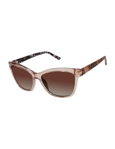 Ted Baker TBW125 Sunglasses 2023