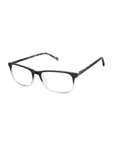 Ted Baker TFM017 Eyeglasses En savoir plus