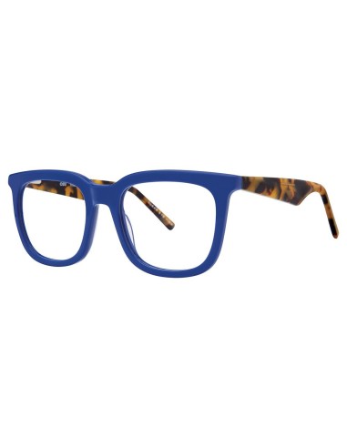 CEV C115Z Eyeglasses pas cher chine