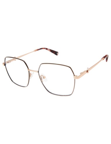 Champion CUMAI Eyeglasses de l' environnement