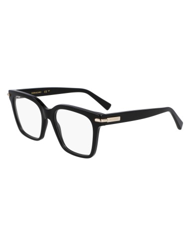 Salvatore Ferragamo SF3009 Eyeglasses en linge