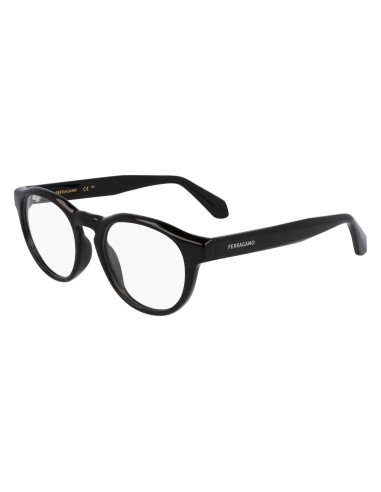 Salvatore Ferragamo SF2987E Eyeglasses Vous souhaitez 